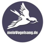 Mein Vogelsang